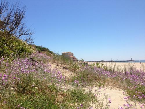 Vias Plage - Maison de vacances near Le Safran