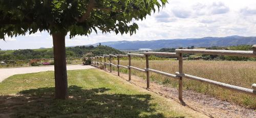 Surrounding environment, LE GERLE in Tain-l'Hermitage