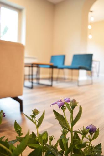 Hotel Els Avets de Camprodon in Camprodon