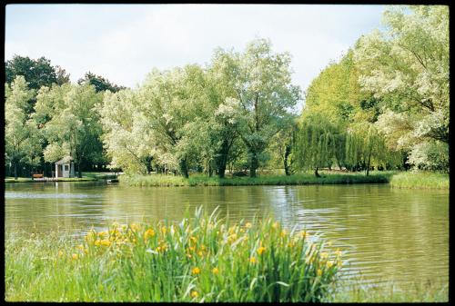 Hotel-Restaurant Du Lac