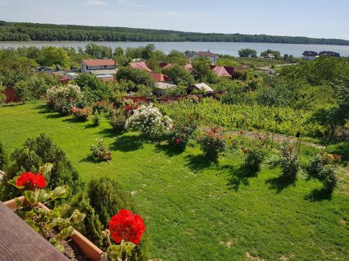 Casa Lac de Verde - Accommodation - Băltenii de Sus