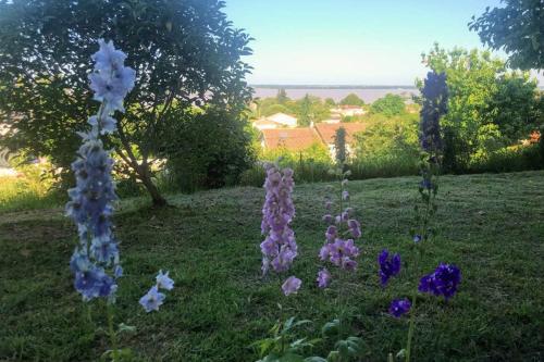 Appartement avec vue panoramique sur l'estuaire de la Gironde