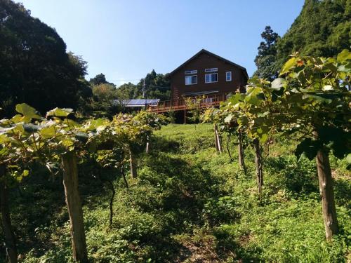 えころっじKitsuki의 호실사진