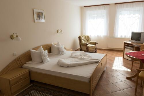Hotel Harka in Harkany