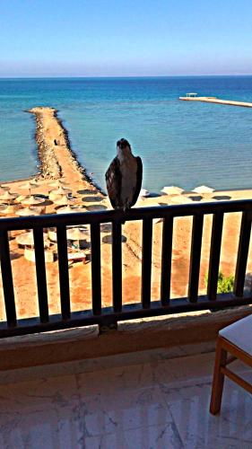 Ok Holiday Homes G4 10 AT Turtles Beach Resort Hurghada