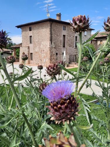  Corte Davini Agriturismo, Monzambano bei Solferino