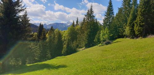 MOUNTAIN ECO CHALET KONJSKA DOLINA on 1400 m asl -near Pokljuka