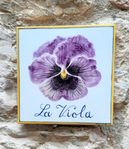 LA VIOLA.2