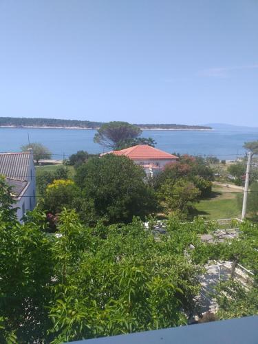 Guest House Silvia - image 4