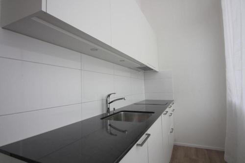 Swiss Star Home - image 7
