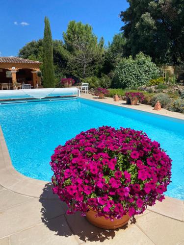 Aux Senteurs Jasmin chambre d'hôte Saint-Jaume