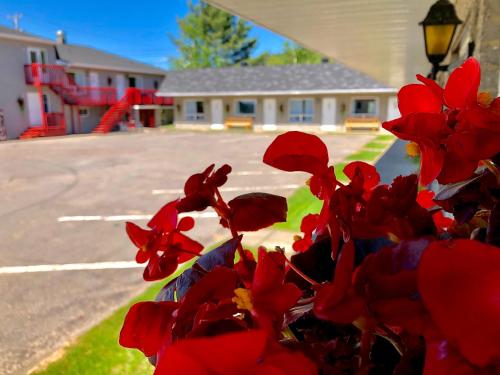 Motel Chantmartin - Accommodation - Tadoussac