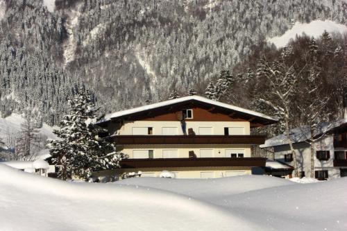 Tirolerhaus - image 7
