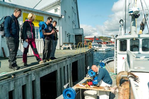 Live Lofoten Hotel - image 4