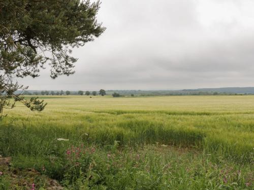 Crabtree Cottage in 哈克內斯