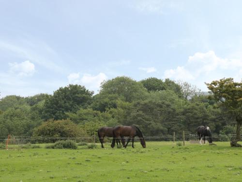 Crabtree Cottage in 哈克內斯