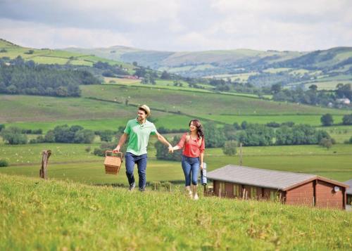 Trewythen Lodges, , Mid Wales