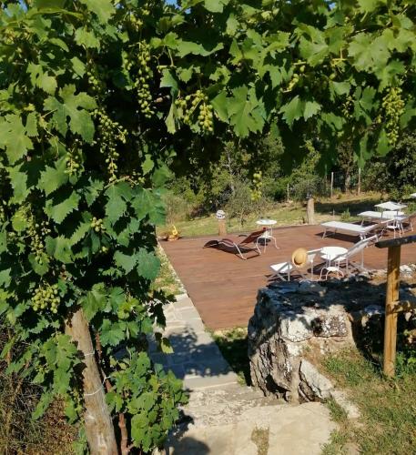B&B CASAGRANDE 4