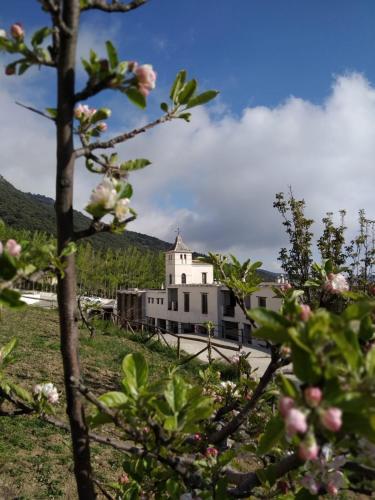 Accommodation in Busquístar
