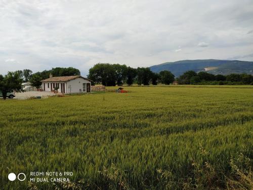 AGRITURISMO " LE SERRE" 5