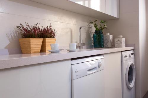 Letmalaga Premium Malagueta 5