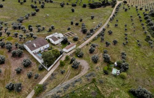 Horta do Padre gîte à louer Ribeira de São Pedro de Pomares