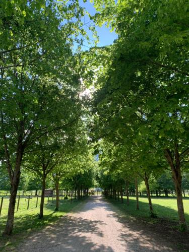  Pradileva in Tramonti di Sotto