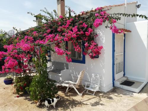  Finca la Joya, Pension in Torreblanca