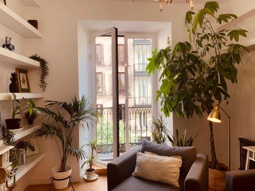 Hostal Patria Madrid - image 6