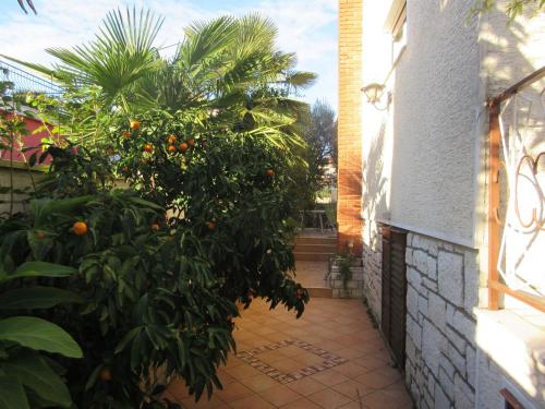 Apartments Ivanka - image 13