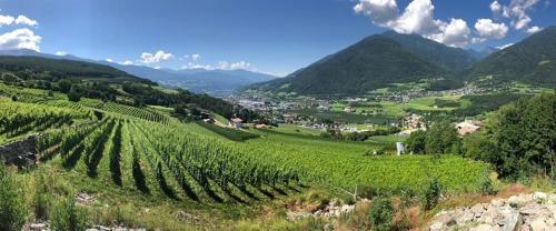  BUEHLERHOF Obst & Weingut Tiere Pferde Bauernhof Brixen, Pension in Raas