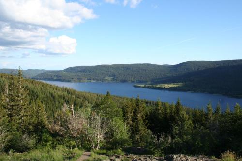 black-forest holiday - Ferienresort am Schluchsee 264m von Sonnhalde entfernt