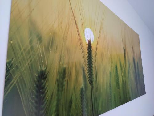 Edificio Valles del Lúpulo Edificio Valles del Lúpulo