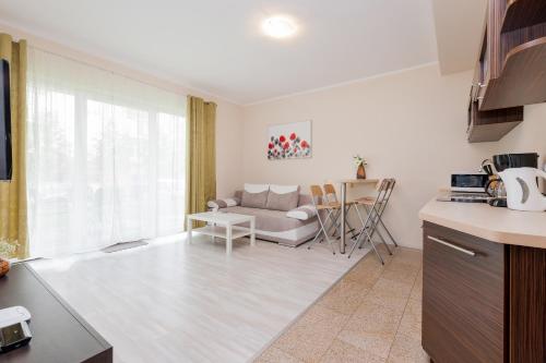 One-Bedroom Apartment image 10