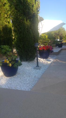 Apartment AMMIRARE Rab - image 6