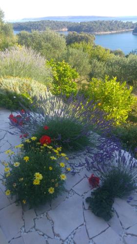 Apartment AMMIRARE Rab - image 13