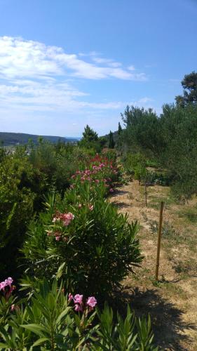 Apartment AMMIRARE Rab - image 8