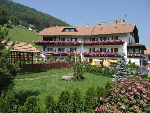 Hotel Pausa - Montagna