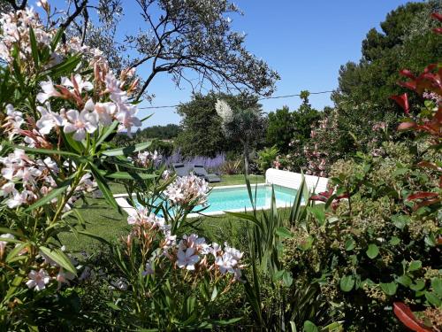 Parfums de Provence "L'Oliveraie" - Piscine chauffée & Spa - Location saisonnière - Vaison-la-Romaine