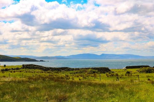 Termon - image 11