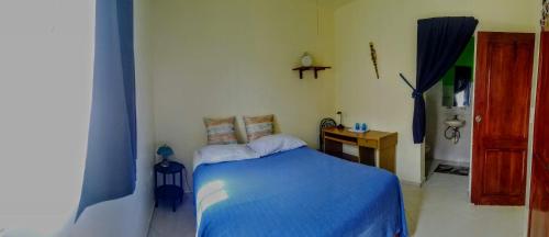 Blue Lady Rooms B&B