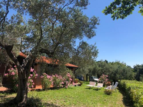  Cottage Gaia with sea view, fenced garden by ToscanaTour in Guardistallo
