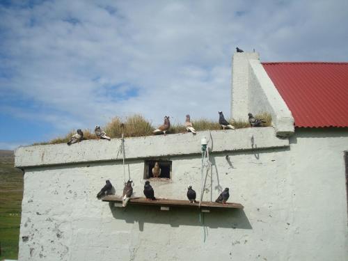 Hænuvík Cottages