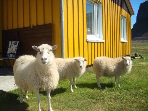 Hænuvík Cottages