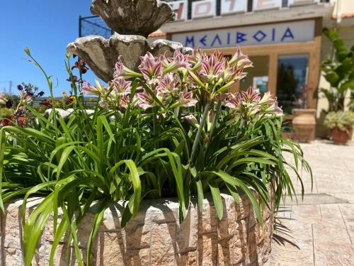 Hotel Melivoia in Khóra