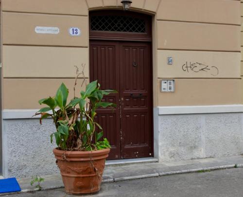 Nido Verde Locazione turistica Palermo, Palermo (fotografie 11)