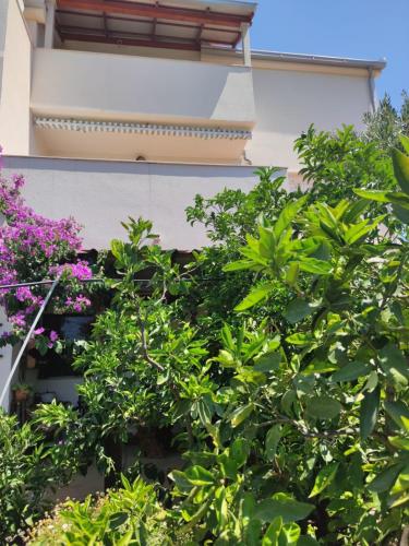  Apartments Amigo in Milna