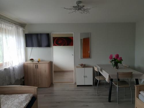 Mainzimmer Business Appartment - Monteurwohnung mit Burgblick