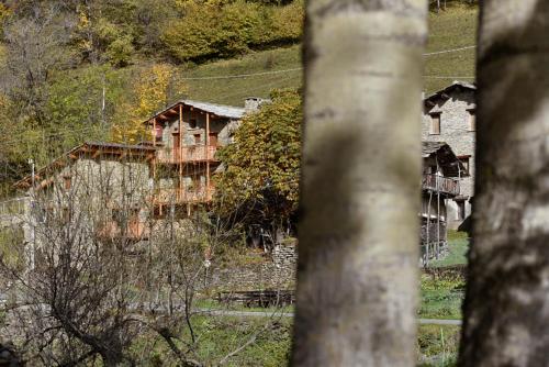 ALTESTANZEOSTANA - image 8