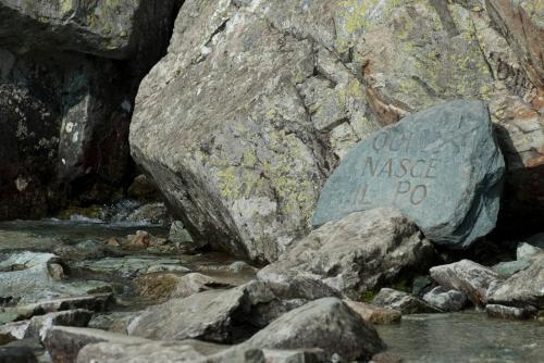 ALTESTANZEOSTANA - image 11